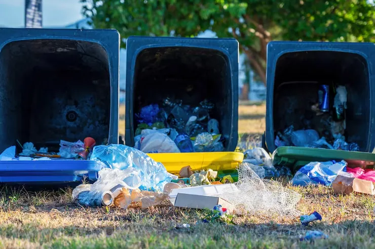 yard waste removal